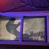 Shadows in the Night