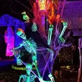 Frightmore Manor Cemetery  photo
