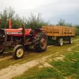 Sanger Farms photo