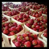 Sanger Farms photo