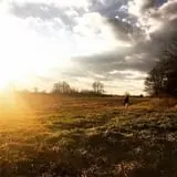 Sanger Farms photo