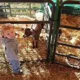 Linder Farms Pumpkin Patch, Corn Maze, Hay Rides photo