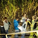 Linder Farms Pumpkin Patch, Corn Maze, Hay Rides photo