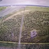 Linder Farms Pumpkin Patch, Corn Maze, Hay Rides photo