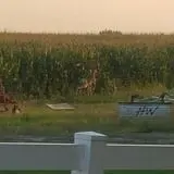 Linder Farms Pumpkin Patch, Corn Maze, Hay Rides photo