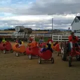 Linder Farms Pumpkin Patch, Corn Maze, Hay Rides photo