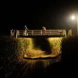 Linder Farms Pumpkin Patch, Corn Maze, Hay Rides photo