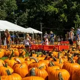 Hunt Club Farm