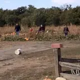 Hunter's Pumpkin Farm photo
