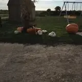 Hunter's Pumpkin Farm photo