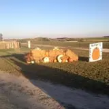 Hunter's Pumpkin Farm photo