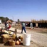 Hunter's Pumpkin Farm photo