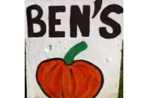 Ben's Pumpkin Patch at Snug Valley Farm