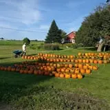 Ben's Pumpkin Patch at Snug Valley Farm photo