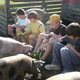 Ben's Pumpkin Patch at Snug Valley Farm photo