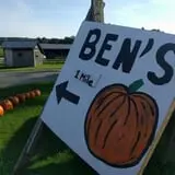 Ben's Pumpkin Patch at Snug Valley Farm photo