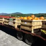 Ben's Pumpkin Patch at Snug Valley Farm photo