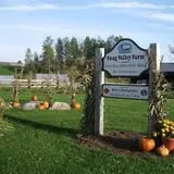 Ben's Pumpkin Patch at Snug Valley Farm photo
