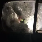 Haunted Drive photo