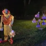 Haunted Drive photo
