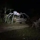 Haunted Drive photo