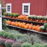 Drazen Orchards photo