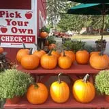 Drazen Orchards photo