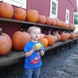 Drazen Orchards photo