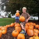 Drazen Orchards photo