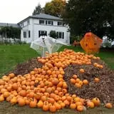 Drazen Orchards photo