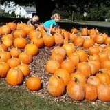 Drazen Orchards photo