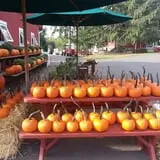 Drazen Orchards photo