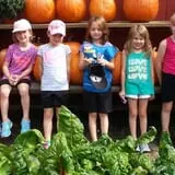 Drazen Orchards photo