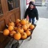 Drazen Orchards photo
