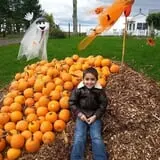 Drazen Orchards photo
