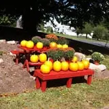 Drazen Orchards photo