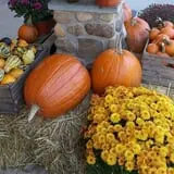 Drazen Orchards photo