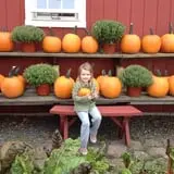 Drazen Orchards photo