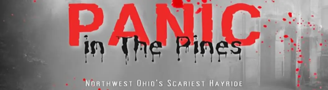 Panic In The Pines Cover Photo