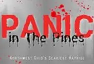 Panic In The Pines