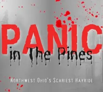 Panic In The Pines