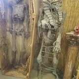 labyrinth of terror photo