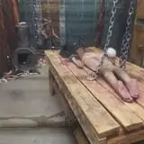 labyrinth of terror photo