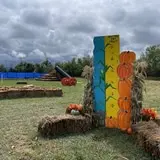 How Tall this Fall