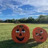 Pops Pumpkin Patch & Fall Festival