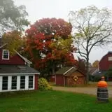 Jones Family Farms photo
