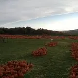 Jones Family Farms photo