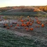 Jones Family Farms photo