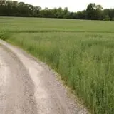 Jones Family Farms photo