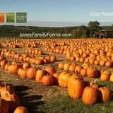 Jones Family Farms photo